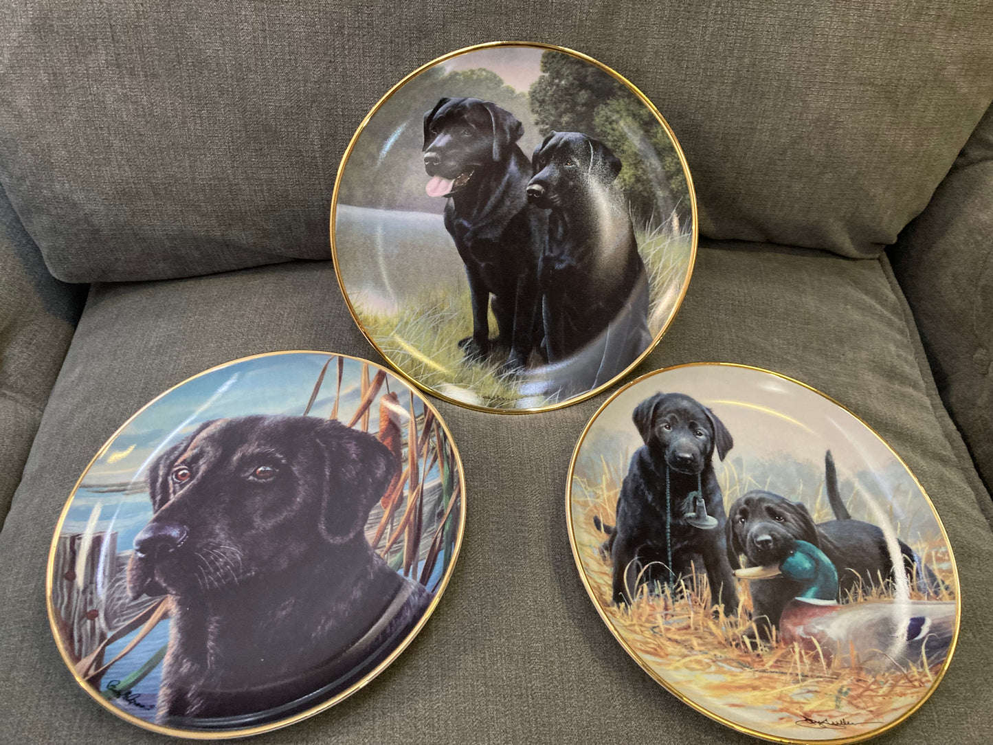 🐾 Franklin Mint Labrador Plate Set – Limited Edition 🐾